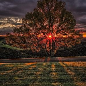 Meet your Posher, Kristie